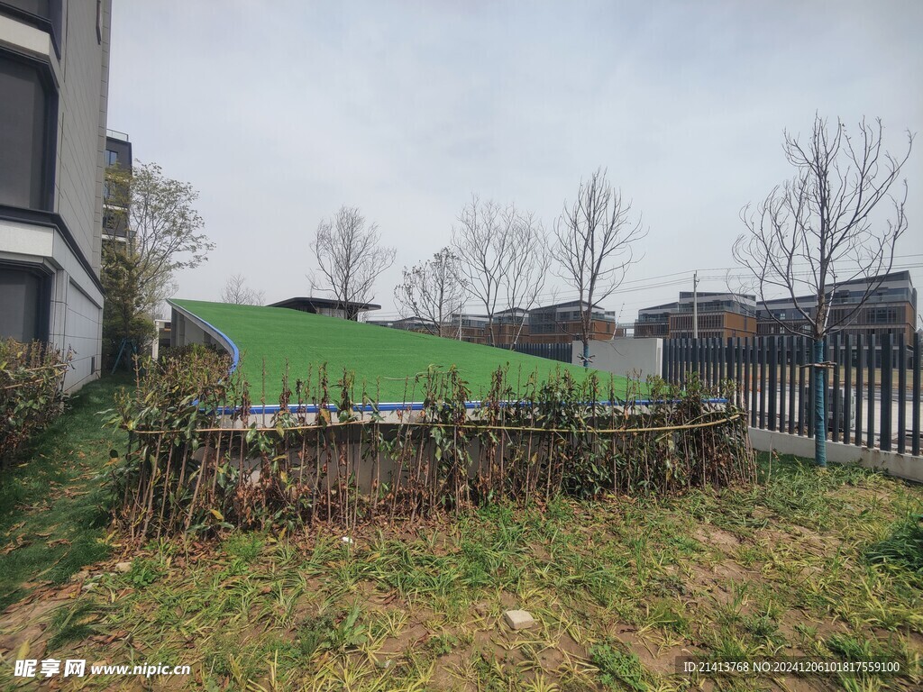 青青草地