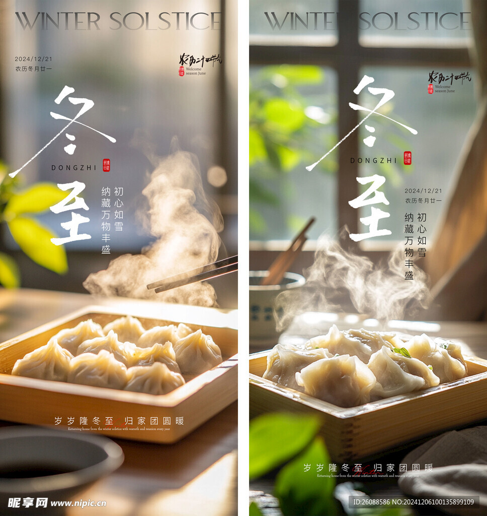 冬至饺子海报