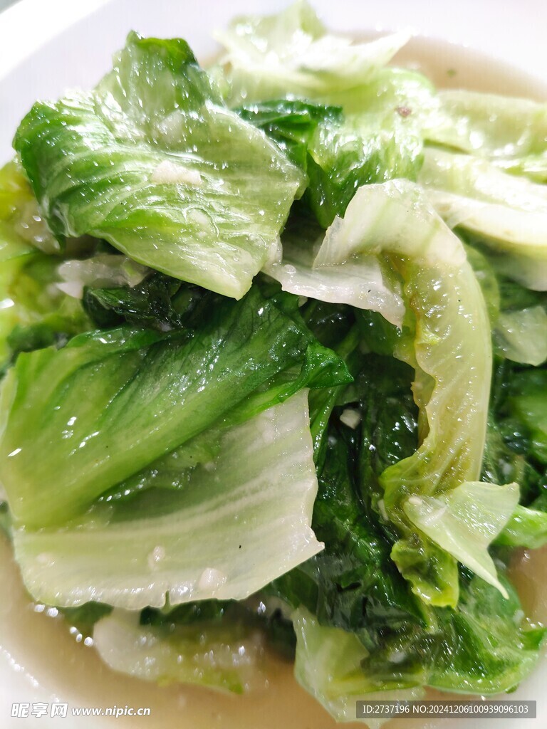 生菜