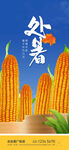 处暑海报