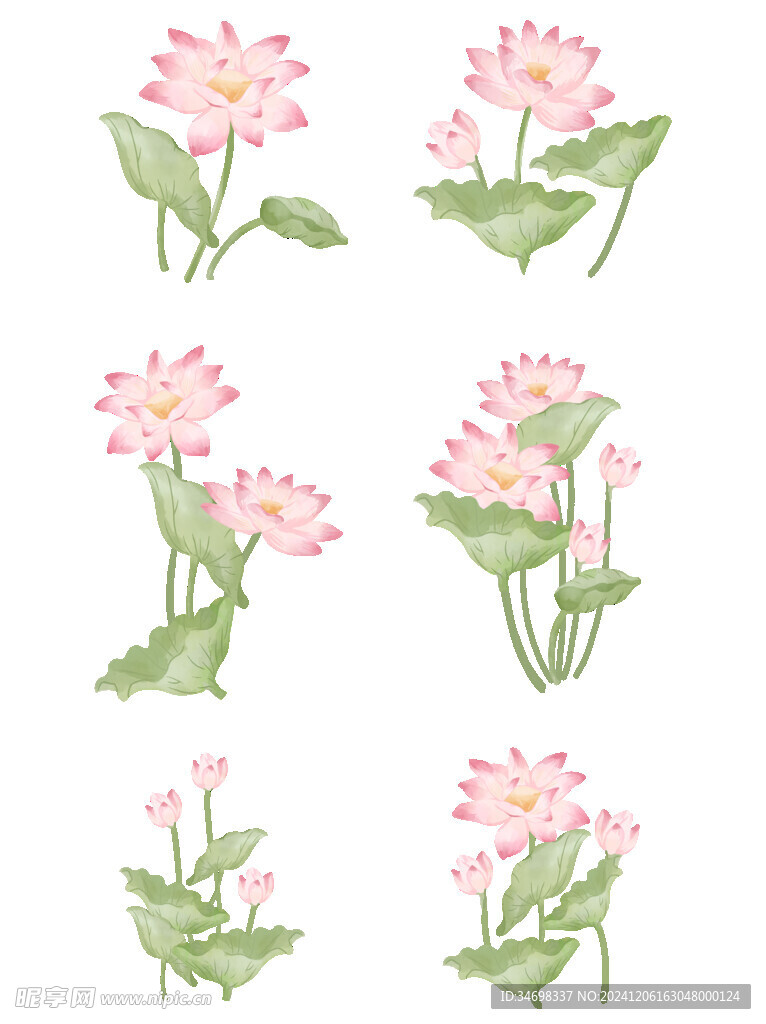 莲花