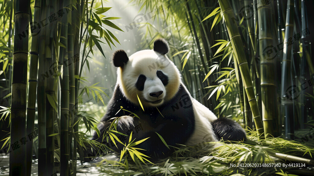 粗大的竹子 上面几片竹叶