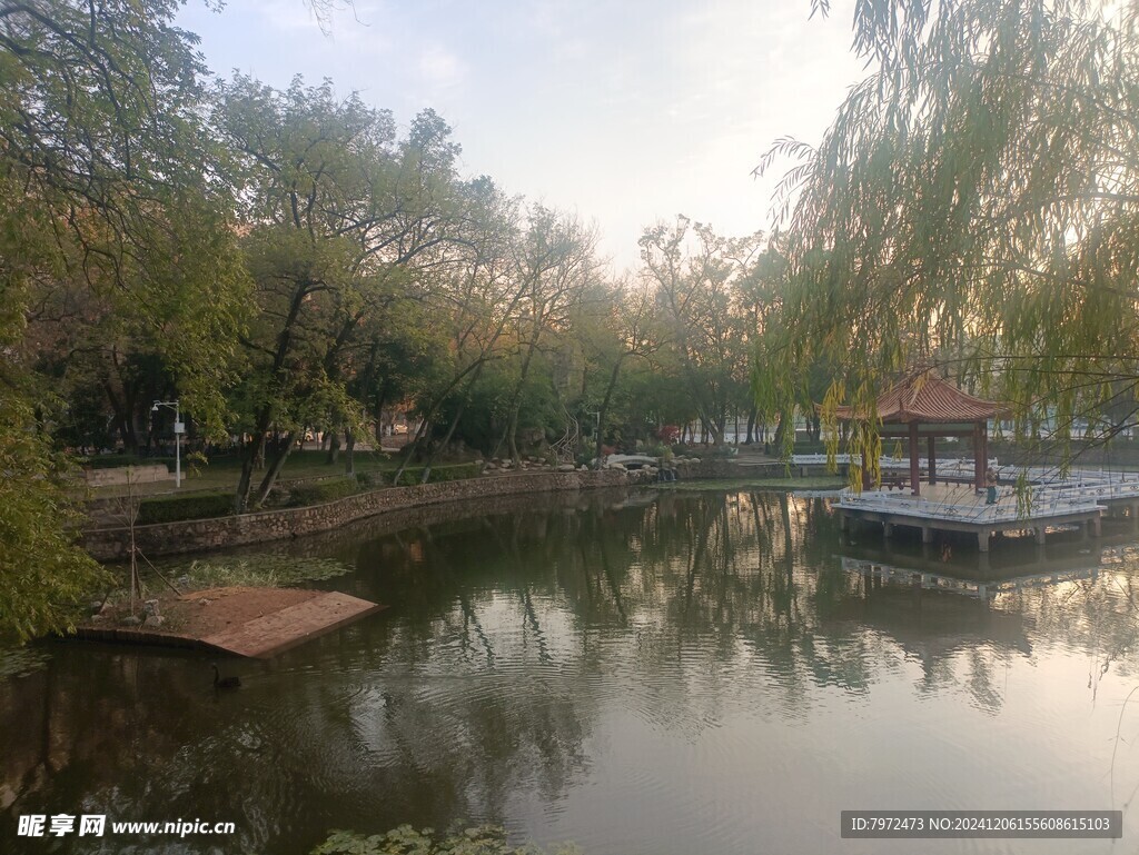园林景观