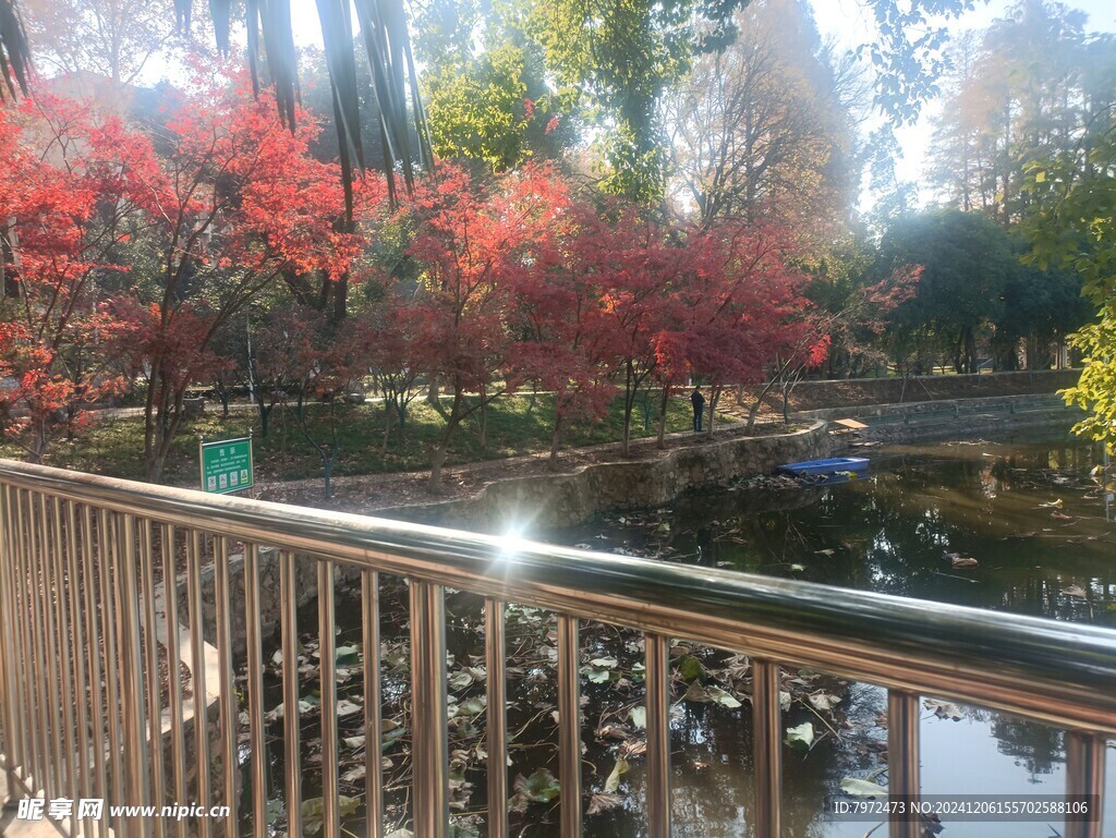 园林景观