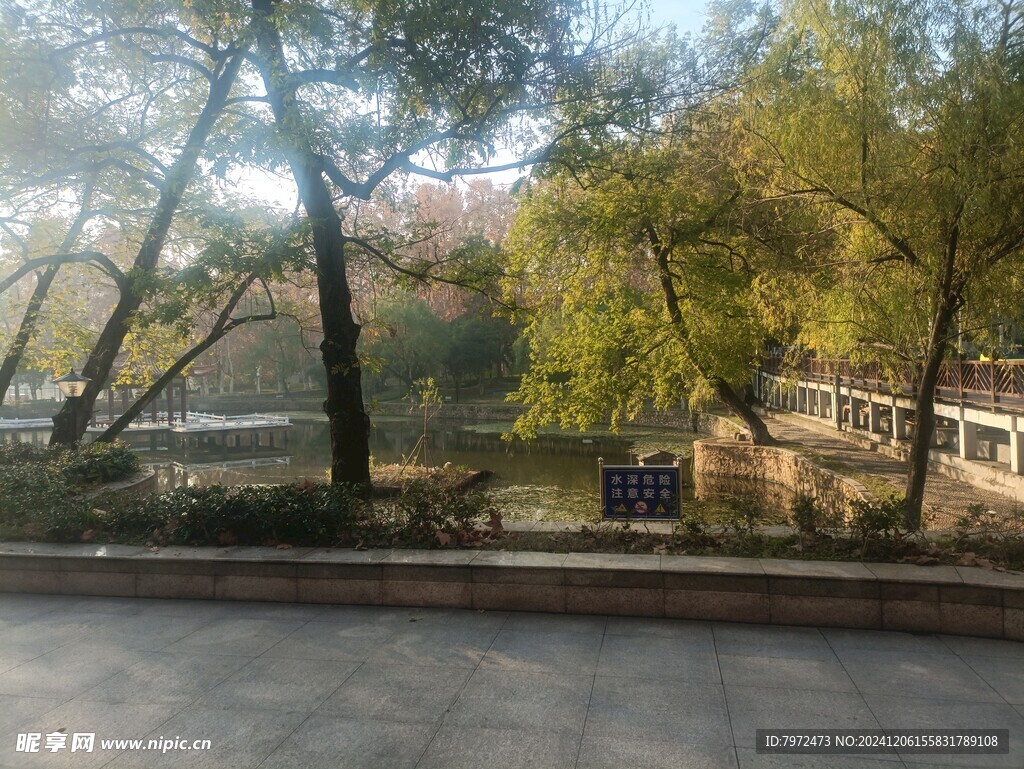 园林景观