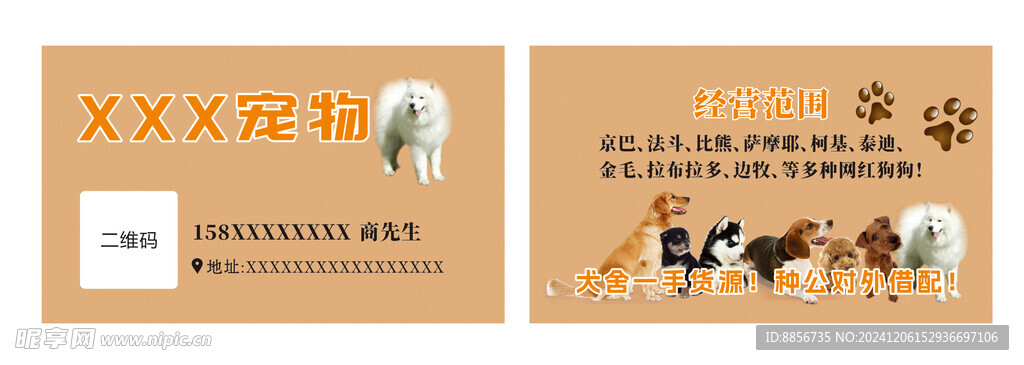宠物名片 