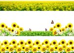 免扣花草