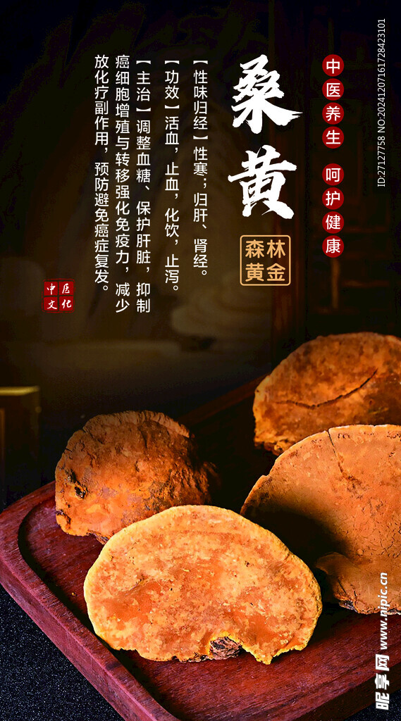 桑黄海报