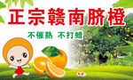 赣南脐橙