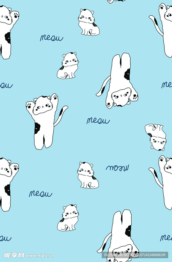 猫咪