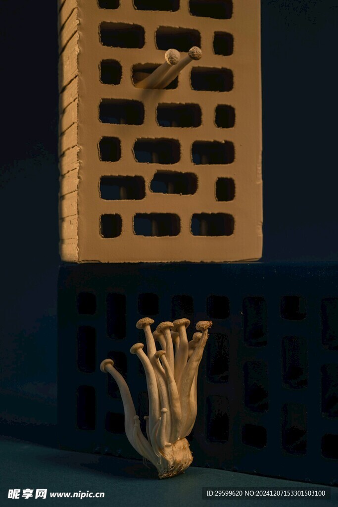 蘑菇  