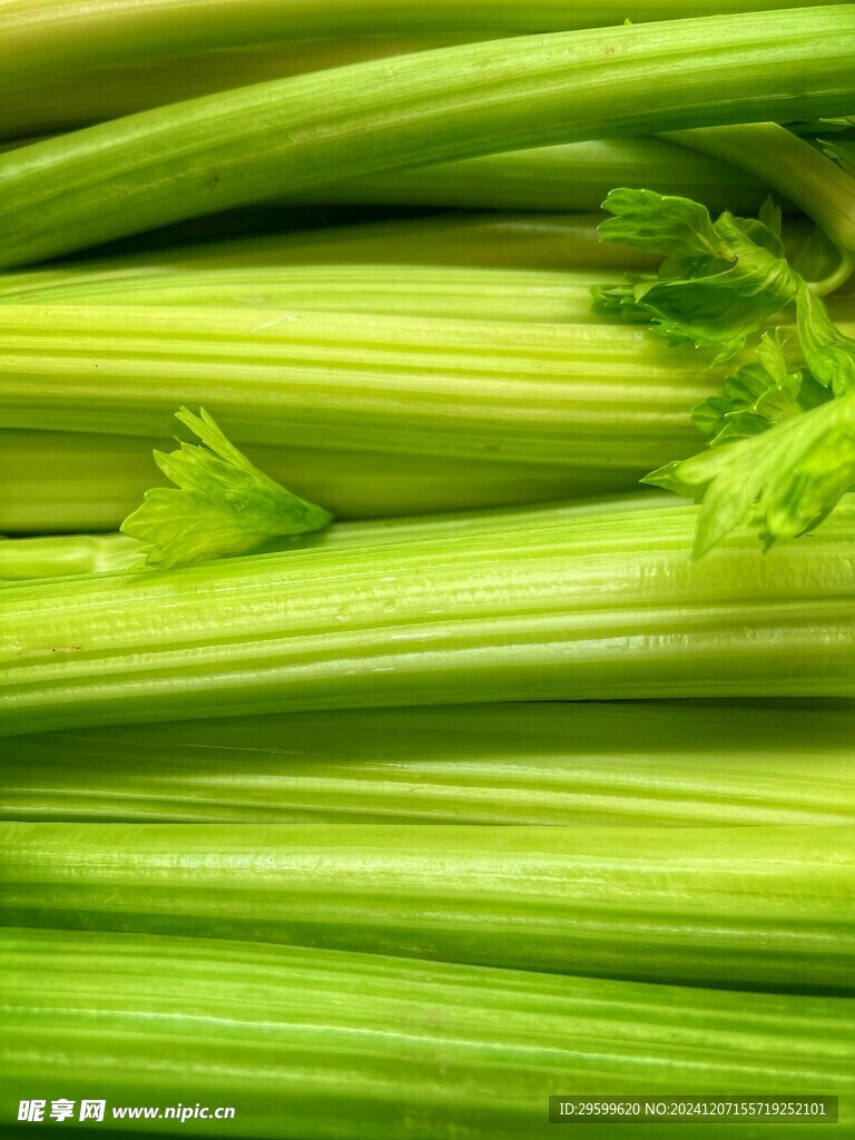 芹菜  