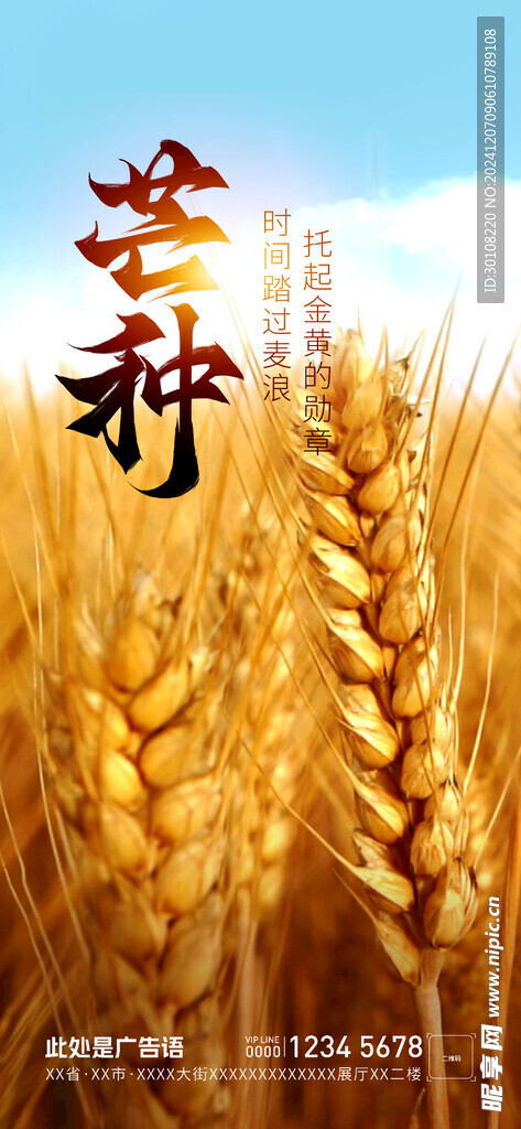 芒种