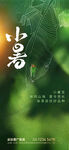 小暑节气