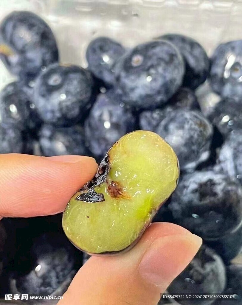 蓝莓
