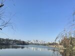 湖景公园