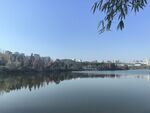 公园湖景