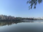 湖景公园