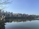 湖景地产