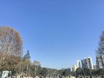 公园地产