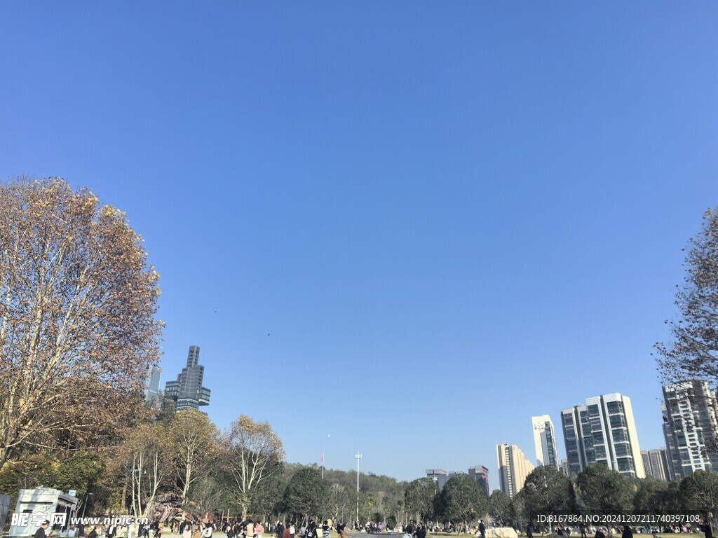 公园地产