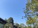 园林景观