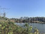 湖景公园