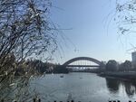 公园湖景