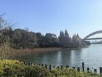 公园湖景