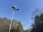 公园园林