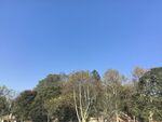 美丽公园