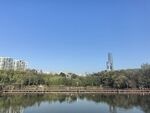 湖景城市