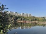 湖景城市