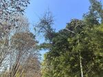 公园里的景