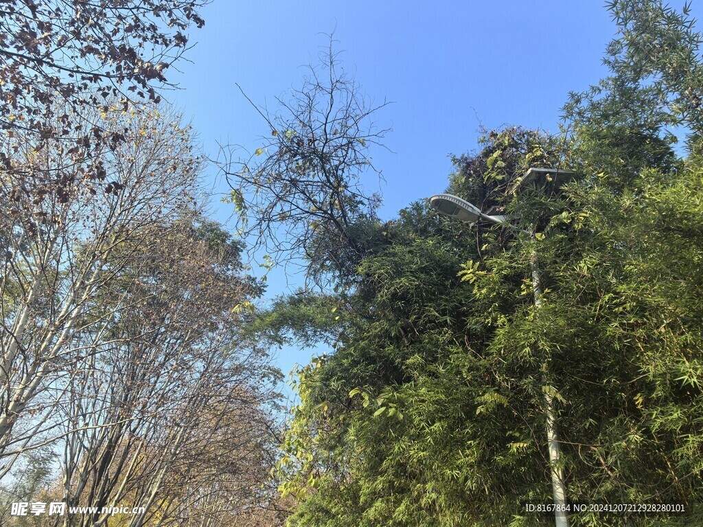 公园里的景