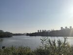 湖景城市