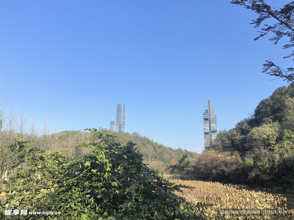 公园城市