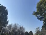美丽天空