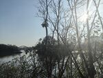 美丽湖景