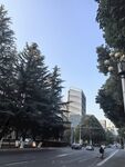 城市建筑