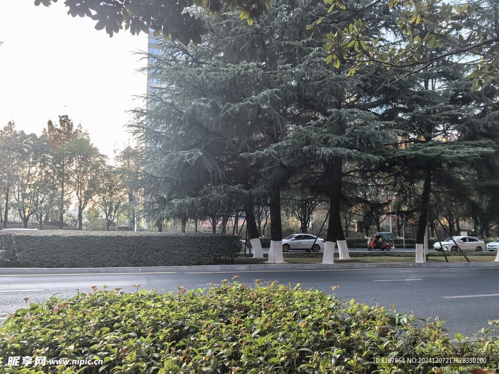 城市
