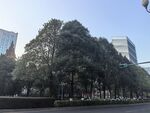城市