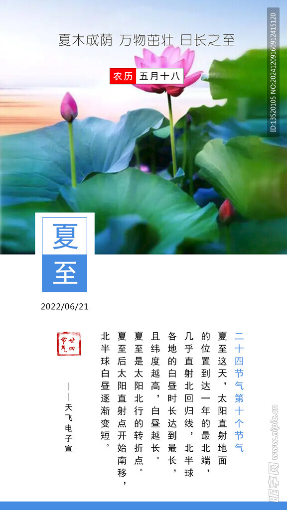 二十四节气 10 夏至