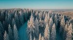 森林雪景