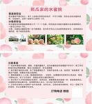水蜜桃卡片