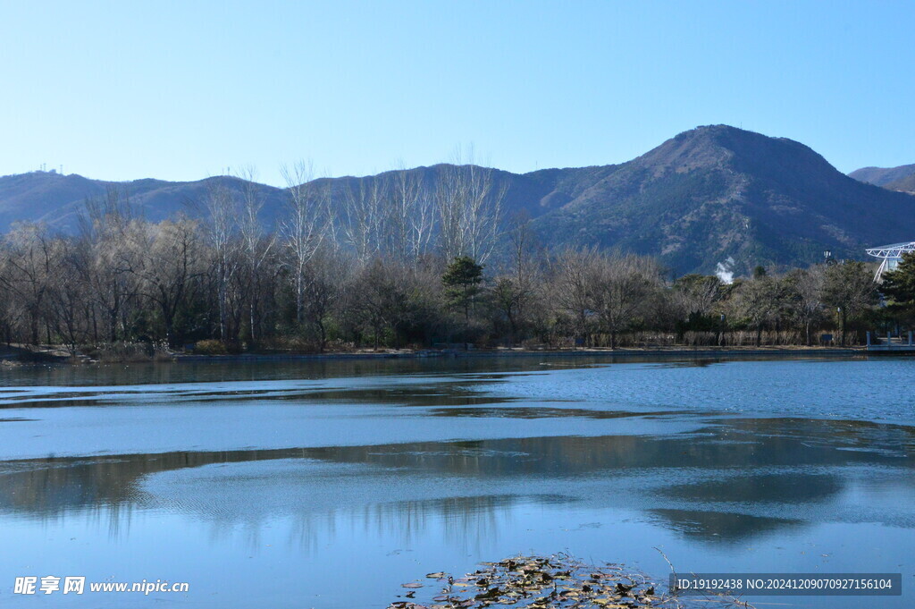 冬日风景 