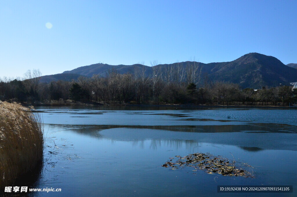 公园风景  