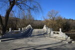 公园风景  