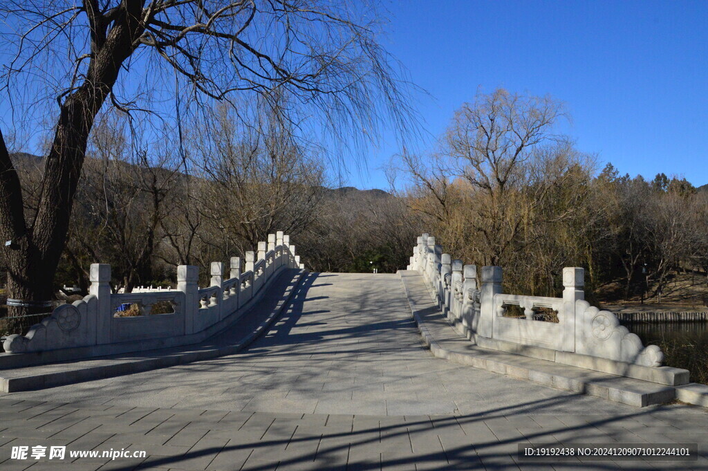 公园风景  