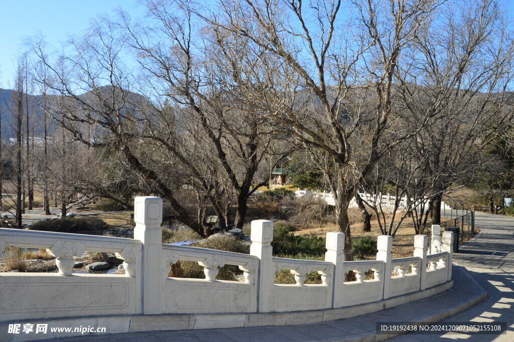 公园风景 